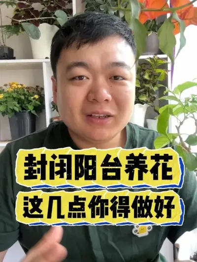 封闭阳台养花，这几点你得做好。 #养花 #养花小知识 #花卉 #花卉绿植 #盆栽