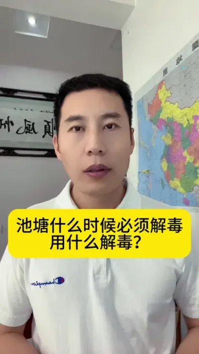 池塘什么时候必须解毒？用什么解毒？#水产养殖技术 #南美白对虾 #养虾人 #土塘养虾 #创作灵感