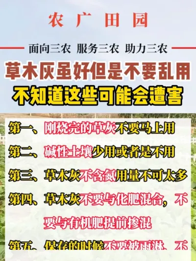#草木灰的作用 #草木灰 #草木灰妙用