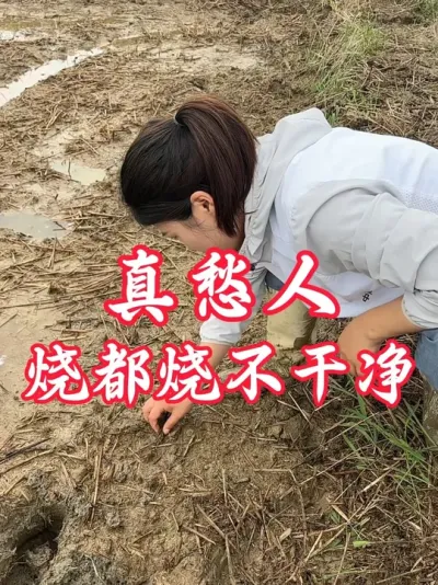 真愁人#秸秆焚烧