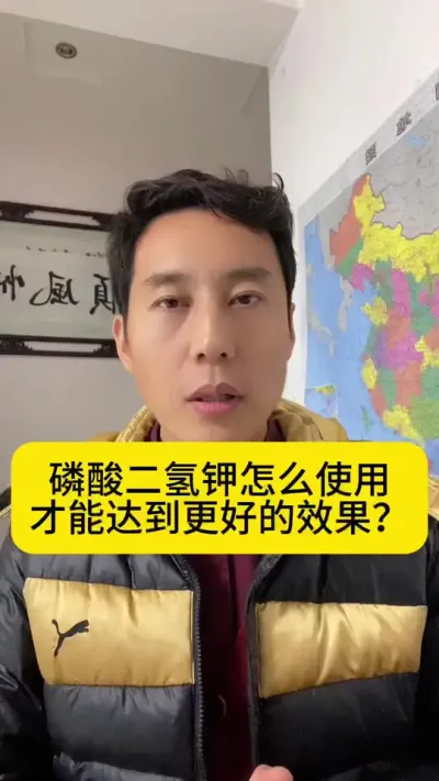 磷酸二氢钾怎么使用才能达到更好的效果？#南美白对虾 #高位池养殖 #冬棚养虾 #小棚养虾 #创作灵感