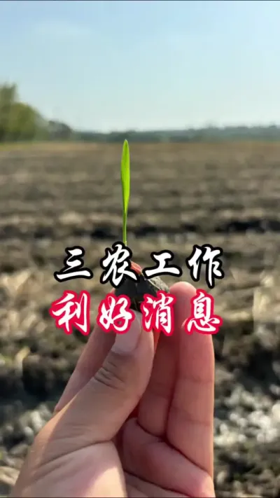 三让农村有活力，农业有收益，提高农民的收入，实现乡村振兴#乡村振兴