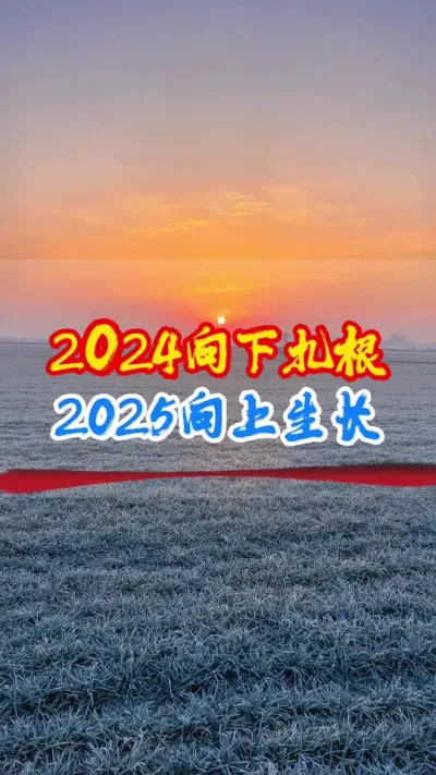 2024向下扎根，2025向上生长 岁序更替，华章日新。中海精选技术服务团队，于田间陇亩躬身，以技术为笔，绘就丰收盛景；在网络云端发力，借短视频与直播为翼，为农友传播农业植保技术，把好用又划算的农资方