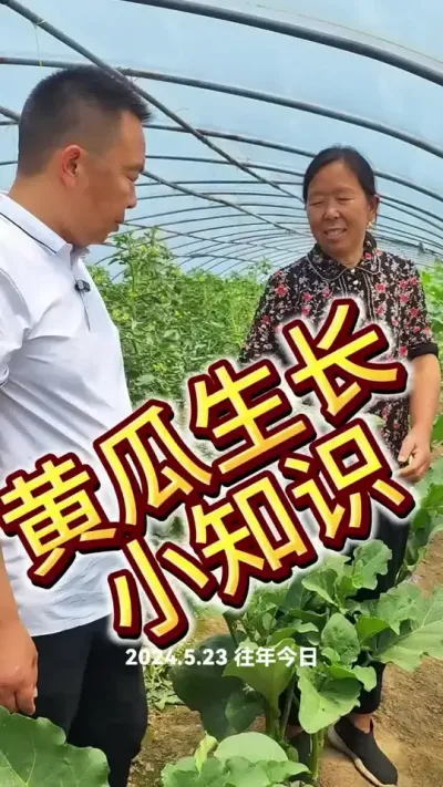 #三农流量扶持计划 #农业种植小技巧 #萝卜种植 #三农流量扶持计划 #农业种植小技巧
