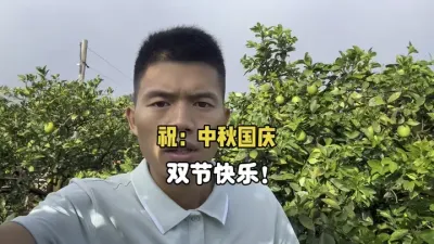 祝大家中秋国庆双节快乐，柑橘大卖！ #三农 #农业种植 #柑橘种植 #中秋节 