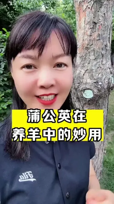 #养殖场专用 #支持三农扶持三农发展 #抖音助农 #农村生活 #牛羊养殖 @DOU+小助手