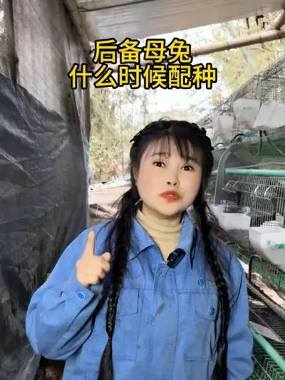 后备母兔不能太小，太小会出现各种问题#肉兔养殖 #农村创业养殖 #自繁自养 #我的养殖生活 #肉兔 #干货