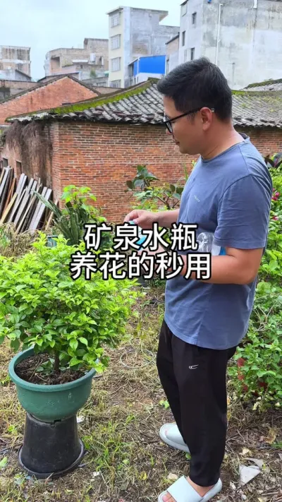 矿泉水瓶的养花妙用 #花卉绿植 #养花 #种植小技巧