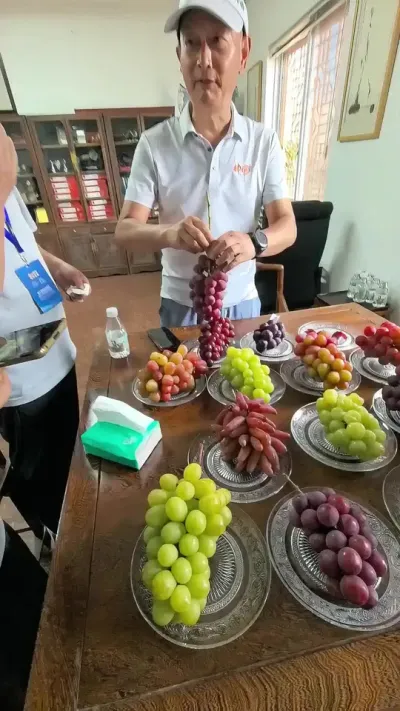 我国自主研发的葡萄品种已经出海！