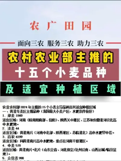 #知识分享 #小麦种植 #小麦品种推荐 农村农业部主推的15个小麦品种及适宜种植区域