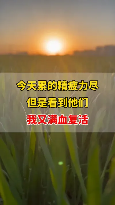 这一天从南到北，虽然累，看他们的脚步，我又满血复活了 传递植保技术，技术服务农友#农业种植 #我的乡村生活 #三农 #农作物农技110 #传播正能量