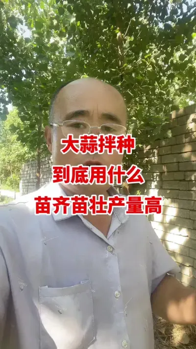 大蒜拌种到底用什么苗齐苗壮产量高#大蒜种植 #大蒜高产 #大蒜种植技术 #大蒜增产 #大蒜拌种