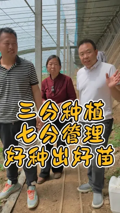 豆角为啥不出  豆角的种植管理  #助农行动 #三分种植七分管理 @DOU+小助手