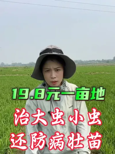 5月底6月初，一代二化螟防治窗口#老百姓关心的话题 #分享农业知识帮农民增产增收