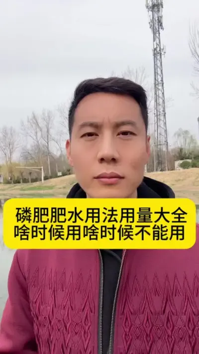 磷肥肥水用法用量大全，什么时候用？什么时候不能用？#南美白对虾 #小棚养虾 #冬棚养虾 #水产养殖 #创作灵感