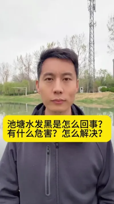 池塘水发黑是怎么回事？有什么危害？怎么解决？#水产养殖 #小棚养虾 #南美白对虾 #冬棚养虾 #创作灵感
