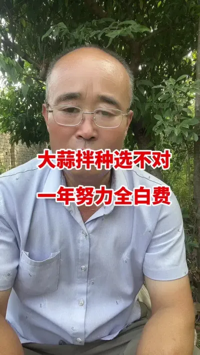 大蒜拌种剂选不对一年努力全白费#大蒜种植 #大蒜拌种剂 #大蒜种植技术 #大蒜高产