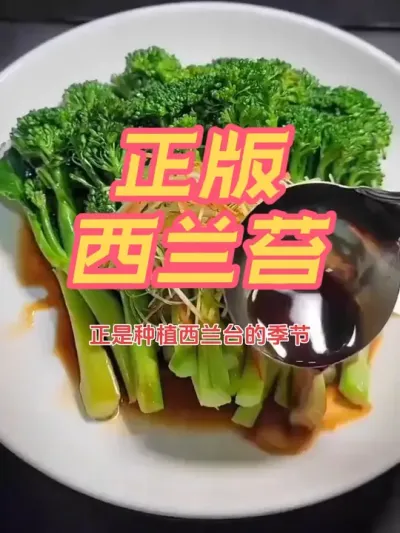 西兰苔苗子 秋天必须要种的一款蔬菜，对版的西兰苔，家里的花盆泡沫箱露天小菜园都可以直接种植，苗子给大家培育好了，喜欢的朋友你也种植几颗吧。#西兰苔苗 #西兰苔 #西兰苔怎么做 #西兰苔种子 #新农人计