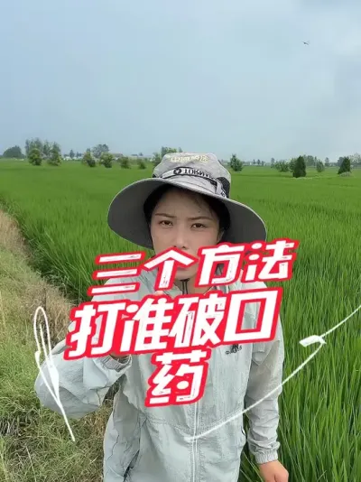 学会三个方法，破口药就知道什么时候打了#分享农业知识帮农民增产增收 #老百姓关心的话题
