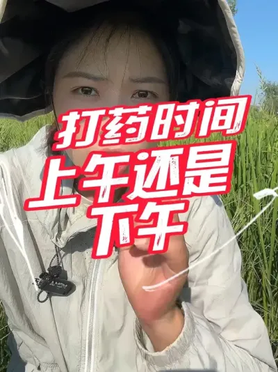 上午打药还是下午打药，根据自己的情况来定，但是一定要加助剂，不然挂不住，浪费多#分享农业知识帮农民增产增收 #老百姓关心的话题