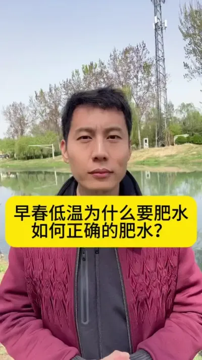 池塘早春低温为什么要肥水？如何正确的肥水？#水产养殖 #对虾养殖 #小棚养虾 #冬棚养虾 #创作灵感