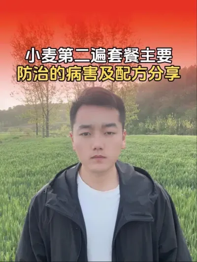 小麦第二遍套餐主要防治病害：赤霉病，锈病，白粉病。配方分享#小麦 #分享农业知识帮农民增产增收 #小麦种植管理技术 #传播农业小知识 #农业植保知识分享
