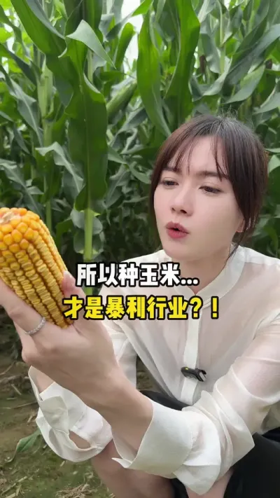 回村种玉米，这回赚大了。 #三农流量扶持计划 #玉米 #我的乡村生活 #搞笑
