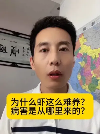 为什么虾这么难养？到底炳害是从哪里来的？#对虾养殖 #养虾人 #土塘养虾 #小棚养虾 #南美白对虾