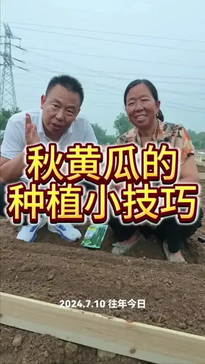 #蔬菜 #种植小技巧 #农业种植
