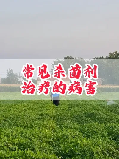 作物常见病害管理防治 #分享农业知识帮农民增产增收 #杀菌剂 #三农 #助力三农 #农业植保知识分享