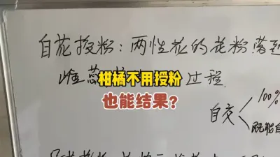 柑橘的自花传粉也是属于授粉的一种方式 #三农 #农业 #柑橘种植 #授粉 #果树管理 