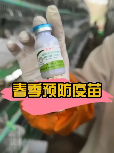 春季养兔一定要预防好，特别是兔瘟#肉兔养殖  #农村创业养殖   #自繁自养   #肉兔养殖   #养兔   #养兔三分靠管理七分靠技术