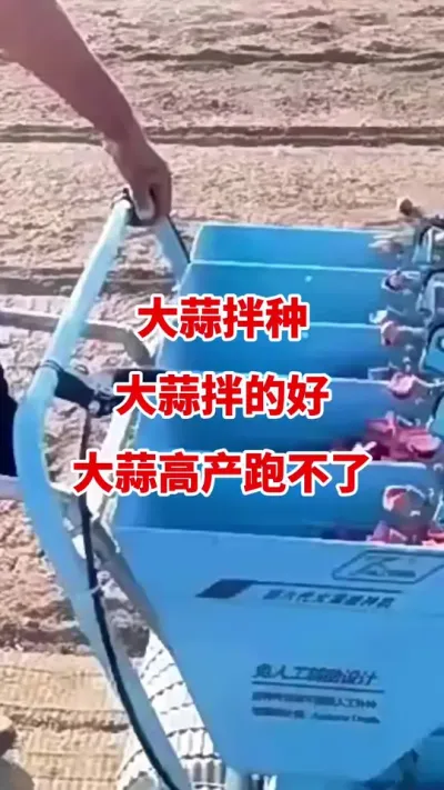 大蒜拌种大蒜拌的好高产跑不了#大蒜拌种 #大蒜种植 #大蒜种植技术 #大蒜高产