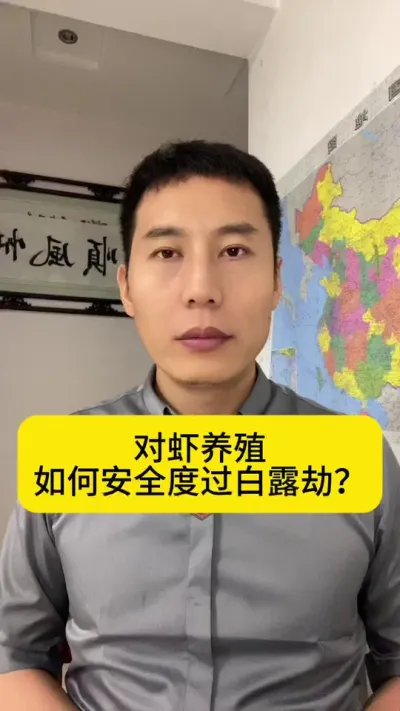 对虾养殖如何安全度过白露劫？#水产养殖 #对虾养殖 #南美白对虾养殖 #养虾人 #创作灵感