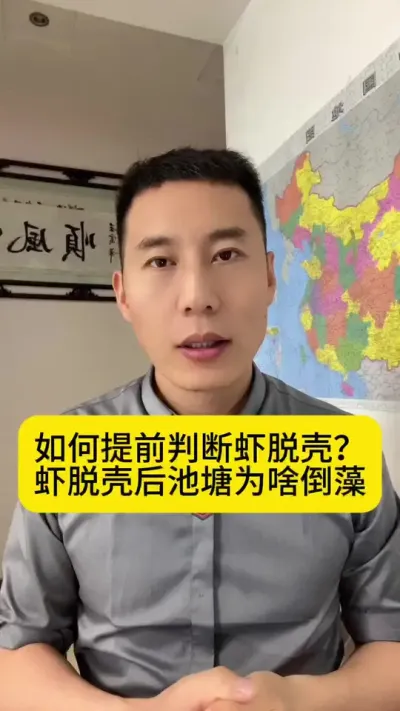 如何提前判断虾脱壳？虾脱壳后池塘为啥倒藻？#南美白对虾 #对虾养殖 #养虾人 #土塘养虾 #创作灵感