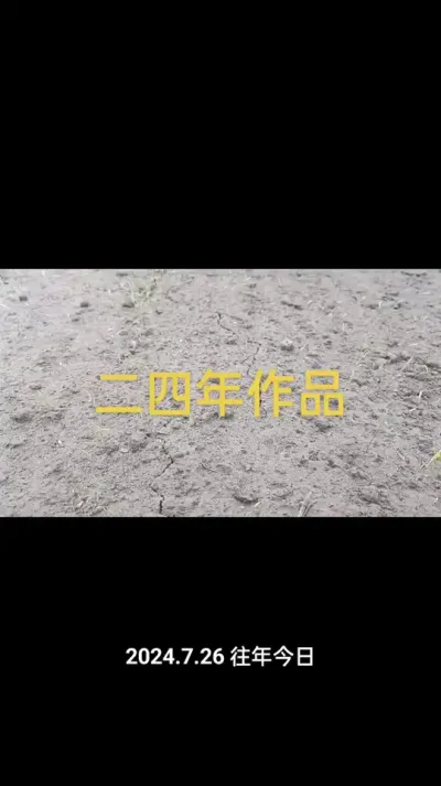 胡萝卜出苗后如何管理