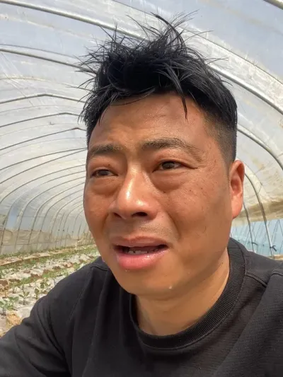 都来干大棚吧 又疯了一个 #三农