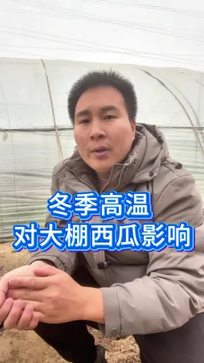 #抖音商城大牌钜惠 #无限回购的宝藏单品 #西瓜管理 #大棚西瓜 #服务三农支持三农