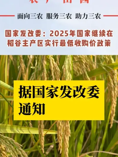 #水稻 #水稻种植 #中国水稻 #水稻价格走势