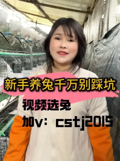 养兔千万别踩坑#养兔技术 #养兔人 #农村创业养殖 #肉兔