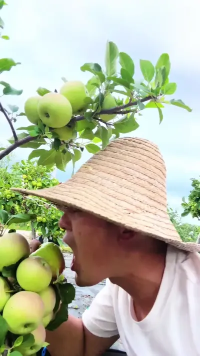 哇，买噶 第一次吃到汁水这么足的苹果 #苹果 #盆栽果树 #搞笑 #三农