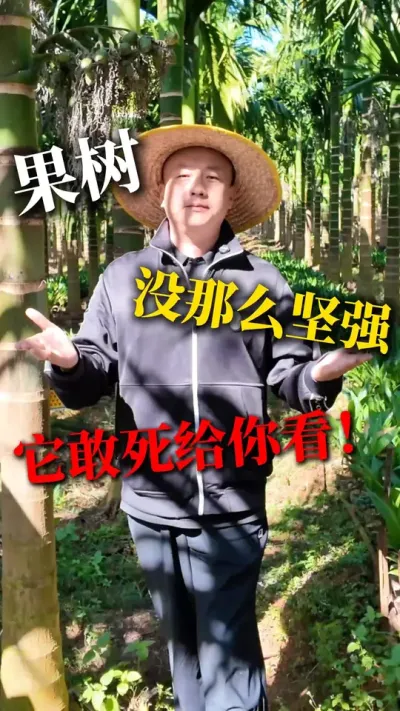 果树不是铁打的，用心养根才会年年结果，选史丹利就对了！#农业种植 #果园管理 #肥料 #农资 #史丹利