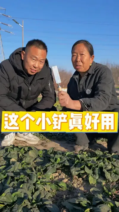心心念念的小铲给大家找到了，期待一下吧，想要的可以关注下@生菜杨姐 #农业种植#新农人 #三农 @DOU+小助手