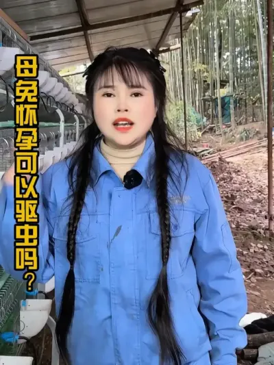 #肉兔养殖 #我的养殖生活 #养兔人 #三农 #干货分享