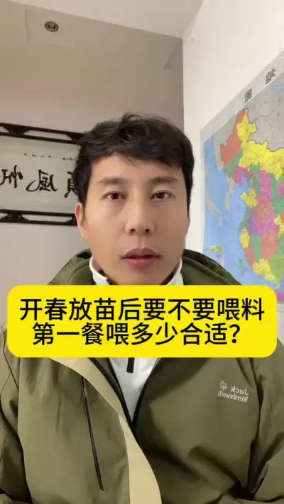 开春放苗后要不要喂料，第一餐喂多少合适？#南美白对虾 #冬棚养虾 #高位池养殖 #小棚养虾 #创作灵感