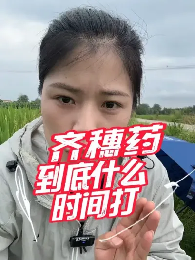 水稻齐穗药打药时间，一定不要打晚了#分享农业知识帮农民增产增收 #老百姓关心的话题