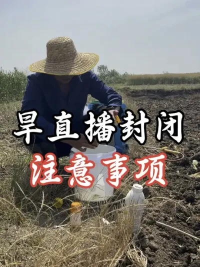 旱直播封闭打药注意事项#老百姓关心的话题 #分享农业知识帮农民增产增收