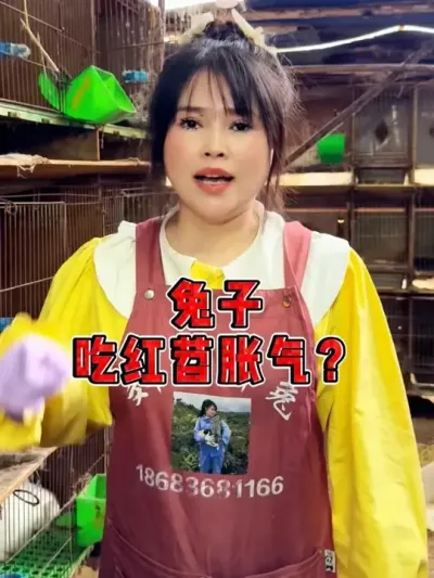 养兔#养兔 #养兔人 #养兔技术 #养兔三分靠管理七分靠技术 #养兔技术经验分享