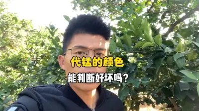 看代森锰锌的颜色能够判断出好坏吗？ #柑橘管理 #代森锰锌 #三农 #农业 #果树管理 