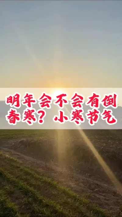 明年会不会有倒春寒？看看小寒谚语怎么说。#今日小寒  #三农  #小寒 #二十四节气 #小麦